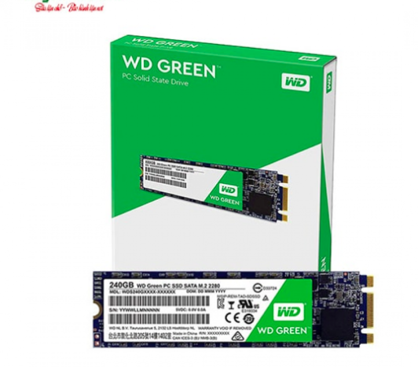 Ổ cứng SSD 240G Western Green M.2 Sata 6Gb/s TLC (WDS240G2GOB)